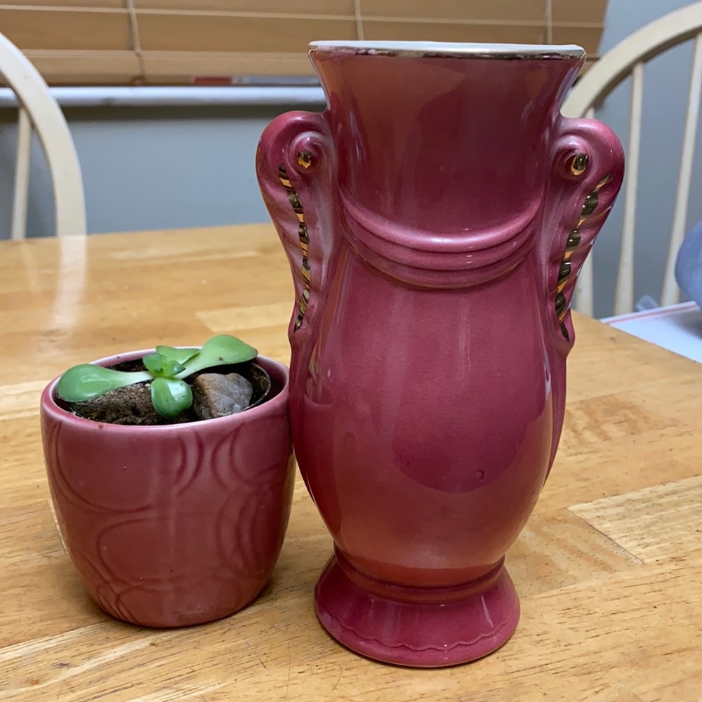 Pink vase